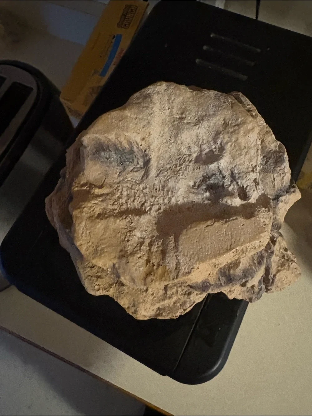 Beige Reptile Rock Hide with Natural Cave Entrance